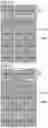 Fig. 29 - Dimming panel and liquid crystal display device