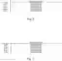 Fig. 05 - Anatomical random rhythm generator