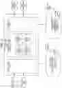 Fig. 21 - Multiple virtual assistants