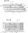 Fig. 08 - Two-sided adjacent memory cell interference mitigation
