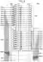 Fig. 05 - Semiconductor storage device having first and second memory strings formed on opposite sides of the same pillar and method of performing a read operation therein