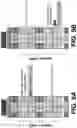 Fig. 14 - Temperature compensation for unselected sub-block inhibit bias for mitigating erase disturb