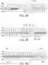 Fig. 06 - Memory device and read method thereof