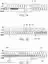 Fig. 08 - Memory device and read method thereof