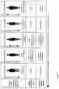 Fig. 34 - METHOD FOR SELECTING PATIENT SPECIFIC THERAPY