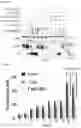 Fig. 40 - METHOD FOR SELECTING PATIENT SPECIFIC THERAPY
