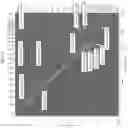 Fig. 10 - SYSTEMS AND METHODS FOR KARYOTYPING BY SEQUENCING