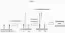 Fig. 11 - Methods and systems for determining haplotypes and phasing of haplotypes