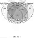Fig. 08 - METHODS AND SYSTEMS FOR DETERMINING GENE EXPRESSION PROFILES AND CELL IDENTITIES FROM MULTI-OMIC IMAGING DATA