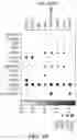 Fig. 116 - METHODS AND SYSTEMS FOR DETERMINING GENE EXPRESSION PROFILES AND CELL IDENTITIES FROM MULTI-OMIC IMAGING DATA