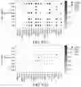 Fig. 119 - METHODS AND SYSTEMS FOR DETERMINING GENE EXPRESSION PROFILES AND CELL IDENTITIES FROM MULTI-OMIC IMAGING DATA