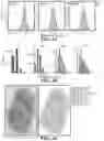 Fig. 12 - METHODS AND SYSTEMS FOR DETERMINING GENE EXPRESSION PROFILES AND CELL IDENTITIES FROM MULTI-OMIC IMAGING DATA