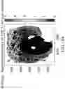 Fig. 142 - METHODS AND SYSTEMS FOR DETERMINING GENE EXPRESSION PROFILES AND CELL IDENTITIES FROM MULTI-OMIC IMAGING DATA