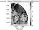 Fig. 150 - METHODS AND SYSTEMS FOR DETERMINING GENE EXPRESSION PROFILES AND CELL IDENTITIES FROM MULTI-OMIC IMAGING DATA