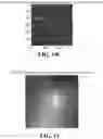 Fig. 20 - METHODS AND SYSTEMS FOR DETERMINING GENE EXPRESSION PROFILES AND CELL IDENTITIES FROM MULTI-OMIC IMAGING DATA