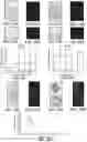 Fig. 28 - METHODS AND SYSTEMS FOR DETERMINING GENE EXPRESSION PROFILES AND CELL IDENTITIES FROM MULTI-OMIC IMAGING DATA