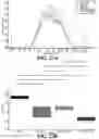 Fig. 32 - METHODS AND SYSTEMS FOR DETERMINING GENE EXPRESSION PROFILES AND CELL IDENTITIES FROM MULTI-OMIC IMAGING DATA