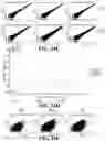 Fig. 34 - METHODS AND SYSTEMS FOR DETERMINING GENE EXPRESSION PROFILES AND CELL IDENTITIES FROM MULTI-OMIC IMAGING DATA