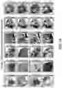 Fig. 44 - METHODS AND SYSTEMS FOR DETERMINING GENE EXPRESSION PROFILES AND CELL IDENTITIES FROM MULTI-OMIC IMAGING DATA