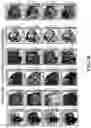 Fig. 46 - METHODS AND SYSTEMS FOR DETERMINING GENE EXPRESSION PROFILES AND CELL IDENTITIES FROM MULTI-OMIC IMAGING DATA