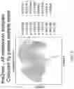 Fig. 52 - METHODS AND SYSTEMS FOR DETERMINING GENE EXPRESSION PROFILES AND CELL IDENTITIES FROM MULTI-OMIC IMAGING DATA