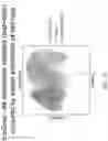 Fig. 53 - METHODS AND SYSTEMS FOR DETERMINING GENE EXPRESSION PROFILES AND CELL IDENTITIES FROM MULTI-OMIC IMAGING DATA
