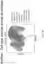 Fig. 55 - METHODS AND SYSTEMS FOR DETERMINING GENE EXPRESSION PROFILES AND CELL IDENTITIES FROM MULTI-OMIC IMAGING DATA