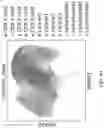 Fig. 60 - METHODS AND SYSTEMS FOR DETERMINING GENE EXPRESSION PROFILES AND CELL IDENTITIES FROM MULTI-OMIC IMAGING DATA