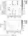 Fig. 67 - METHODS AND SYSTEMS FOR DETERMINING GENE EXPRESSION PROFILES AND CELL IDENTITIES FROM MULTI-OMIC IMAGING DATA