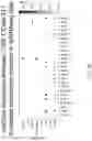 Fig. 71 - METHODS AND SYSTEMS FOR DETERMINING GENE EXPRESSION PROFILES AND CELL IDENTITIES FROM MULTI-OMIC IMAGING DATA
