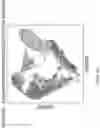 Fig. 75 - METHODS AND SYSTEMS FOR DETERMINING GENE EXPRESSION PROFILES AND CELL IDENTITIES FROM MULTI-OMIC IMAGING DATA