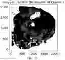 Fig. 84 - METHODS AND SYSTEMS FOR DETERMINING GENE EXPRESSION PROFILES AND CELL IDENTITIES FROM MULTI-OMIC IMAGING DATA