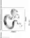 Fig. 91 - METHODS AND SYSTEMS FOR DETERMINING GENE EXPRESSION PROFILES AND CELL IDENTITIES FROM MULTI-OMIC IMAGING DATA