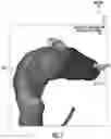 Fig. 08 - CATHETER STRUCTURE EXAMINATION AND OPTIMIZATION USING MEDICAL PROCEDURE INFORMATION