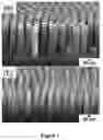 Fig. 02 - A Process of Integrating Electrically Conductive Nanoparticulate Material into an Electrically Conductive Cross-Linked Polymer Membrane