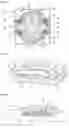 Fig. 07 - Multipolar switch