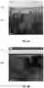 Fig. 06 - EROSION RESISTANT METAL FLUORIDE COATINGS, METHODS OF PREPARATION AND METHODS OF USE THEREOF