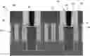 Fig. 01 - Self aligned buried power rail