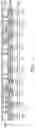 Fig. 11 - Chip package structure with conductive shielding film