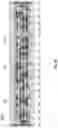 Fig. 07 - Double cross-couple for two-row flip-flop using CFET