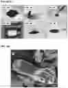 Fig. 08 - Physical forms of MXene materials exhibiting novel electrical and optical characteristics