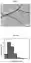 Fig. 10 - Physical forms of MXene materials exhibiting novel electrical and optical characteristics