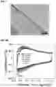 Fig. 12 - Physical forms of MXene materials exhibiting novel electrical and optical characteristics