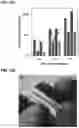Fig. 19 - Physical forms of MXene materials exhibiting novel electrical and optical characteristics