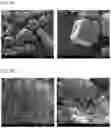 Fig. 02 - Composite for positive electrode active material of secondary battery, secondary battery including same, and method for preparing same