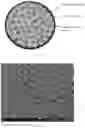 Fig. 02 - SELF-FILLED COATED SILICON-BASED COMPOSITE MATERIAL, METHOD FOR PREPARING SAME, AND USE THEREOF