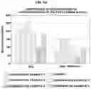 Fig. 08 - Carbon support for fuel cell catalyst and method of manufacturing the same