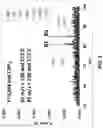 Fig. 09 - Nitrile-substituted silanes and electrolyte compositions and electrochemical devices containing them