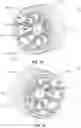 Fig. 02 - ELECTRIC MACHINE ROTOR COOLING