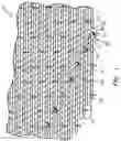 Fig. 02 - SINGLE AXIS SOLAR TRACKER ROTATION STOPPER